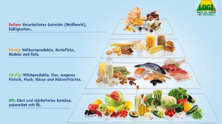 Darstellung der LOGI-Methode